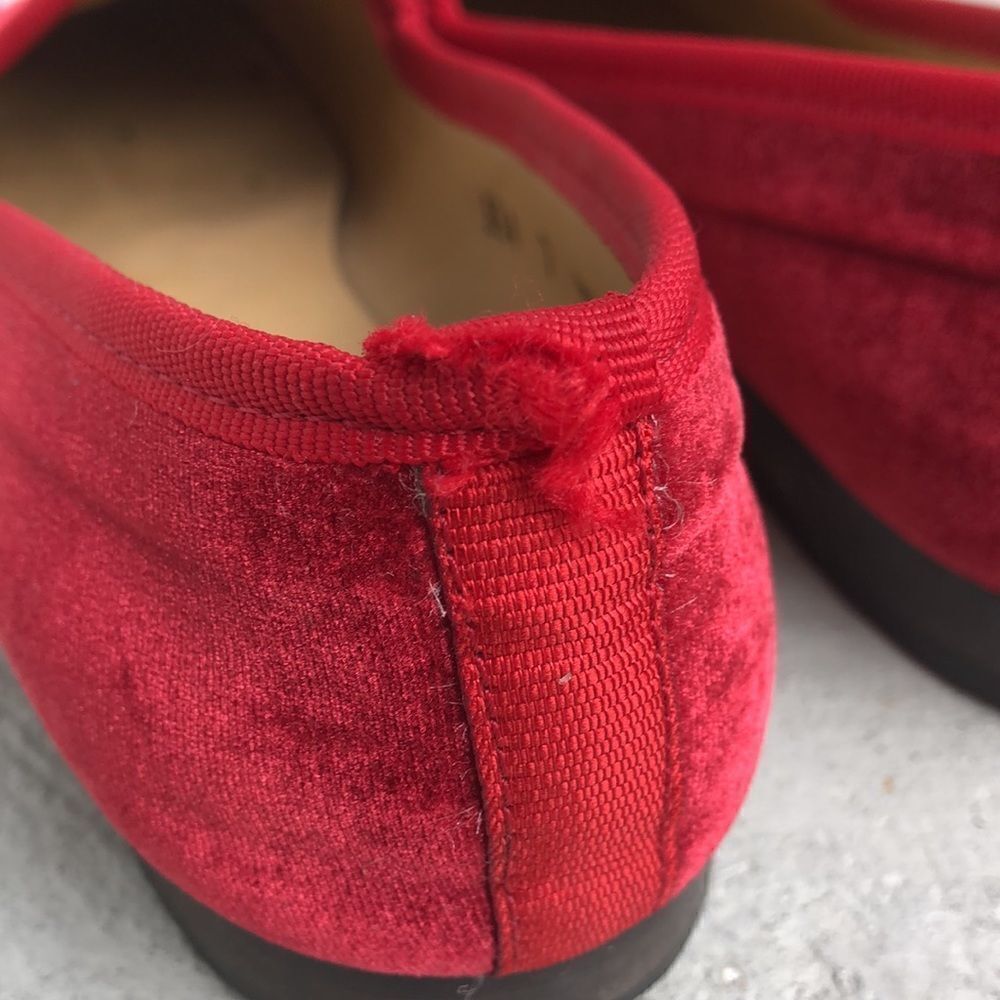 Del Toro  - Picture 7 of 9